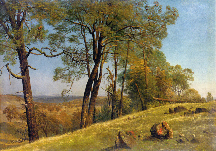 Albert Oil Painting Landscape, Rockland County, California - Click Image to Close